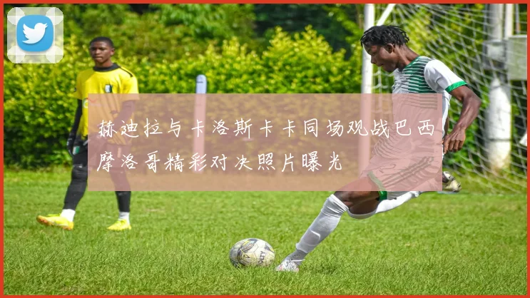 赫迪拉与卡洛斯卡卡同场观战巴西摩洛哥精彩对决照片曝光