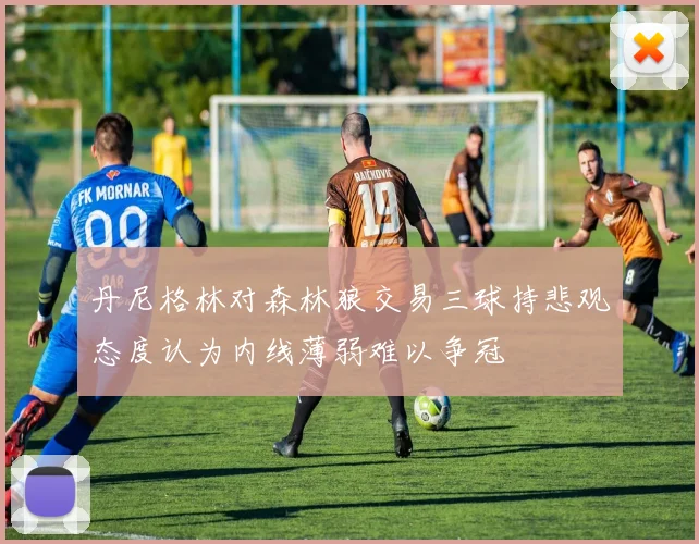 丹尼格林对森林狼交易三球持悲观态度认为内线薄弱难以争冠