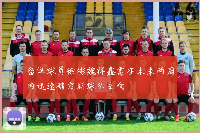 留洋球员徐彬魏祥鑫需在未来两周内迅速确定新球队去向
